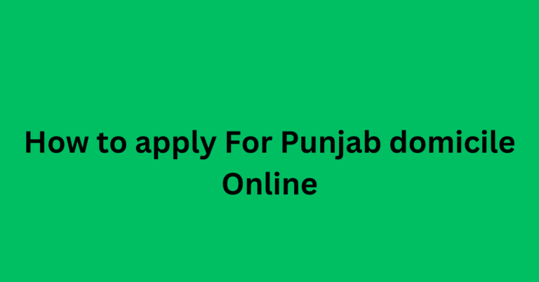 How To Apply For Punjab domicile Online A Complete Guide